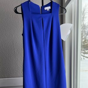 Royal blue Calvin Klein dress (with gold zipper at the back)